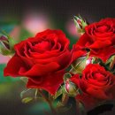 아우성노래방 이미지