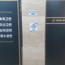 국어의뿌리