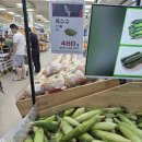 몸이 부실해서 이미지
