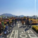 신나는 독서탐험대(휴강) | [여행] 20만 평 갈대밭에서 벌어지는 가을밤의 기적, 강진만 축제 비밀 공개!