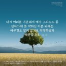 에클레시아 이미지