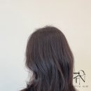 헤어티니 - 칠곡군 | 헤어티니