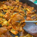 춘천식당 | 대전맛집 대전월평동맛집 애견동반 가능한 식당 춘천집닭갈비 다녀온 후기