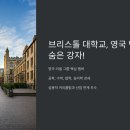 브리스톨 대학교, 영국 명문대의 숨은 강자! 🇬🇧