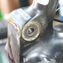 링크 바이크 이미지