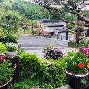 씨엘펜션 이미지