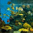 아쿠아민박 이미지