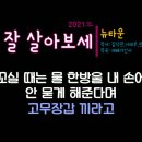 보세타운