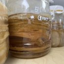 스코비아일랜드 이미지