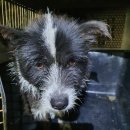 쌍책면사무소 이미지