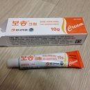 칠칠약국 이미지