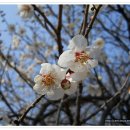 당간지주길 이미지