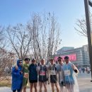 디씨티 코리아 | 서울 국제 마라톤(동아마라톤) 참가 후기