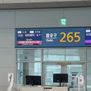 161 | 인천-대만 타이베이 중화항공 CI161 탑승후기(체크인 수화물 터미널 기내식 좌석)