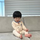 481-490일 육아일기 | 뽀로로가 제일 좋아, 무인양품 성장앨범