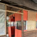 요기요포장마차 이미지