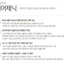 용인대 선일태권도 이미지