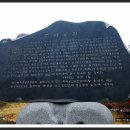 [대전여행] 세계적으로 유일하게 효를 주제로한 대전 뿌리공원 이미지