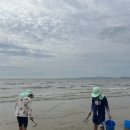 남면농협 하나로마트 | 태안 청포대 선셋 카라반 후기 | 1박2일 카라반 캠핑(남면 하나로마트, 수산물 판매장 후기 포함)