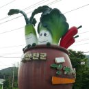 초성김치마을 이미지
