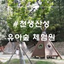천생산성 유아숲체험원 이미지