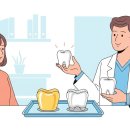 신경치료 후 씌우는 크라운 종류 비교 (금 vs 지르코니아) 이미지