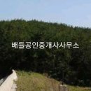 읍내리농로 티스토리