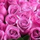 박촌부동산공인중개사사무소 이미지