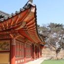 쌍계사수목장림 네이버블로그