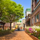 은행로 12번길 | 우선모집! 은계지구 인기 유치원 5곳 우선순위 조건 비교 분석