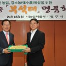 부석태콩
