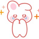 소이비어