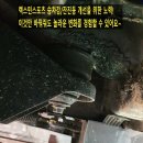 젤리스프링 이미지