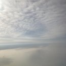 올레길 | 제주 올레길 1월 후기｜여자 혼자 걸어도 괜찮을까? 비 오는 날 날씨·준비물 정리