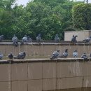 에로스(EROS)호텔 이미지