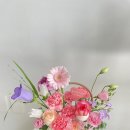 설레화