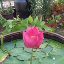 스마트폰사진촬영과 편집 이미지