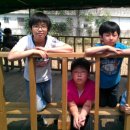 단비목장 이미지