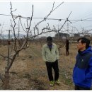 임석규농장 이미지