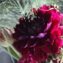 꽃 클래스 화훼장식기능사 이미지