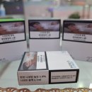 포항하카문덕점