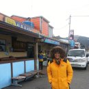 상록수식당 Daum카페