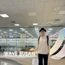 하라 네이버블로그
