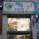 파우 동물병원 네이버블로그