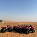 오전오후 | 두바이 사막투어 오전 오후 선택 후기 복장 팁