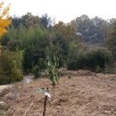 승리농장 이미지