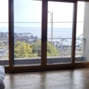 위미그라스 이미지