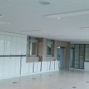 홍주중학교 Daum카페