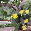 두륜산관광펜션 이미지