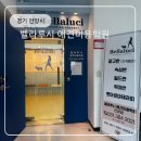 평촌청솔학원 | 안양 애견미용학원 고민하다 선택한 벨라루시 후기 (범계,평촌 )